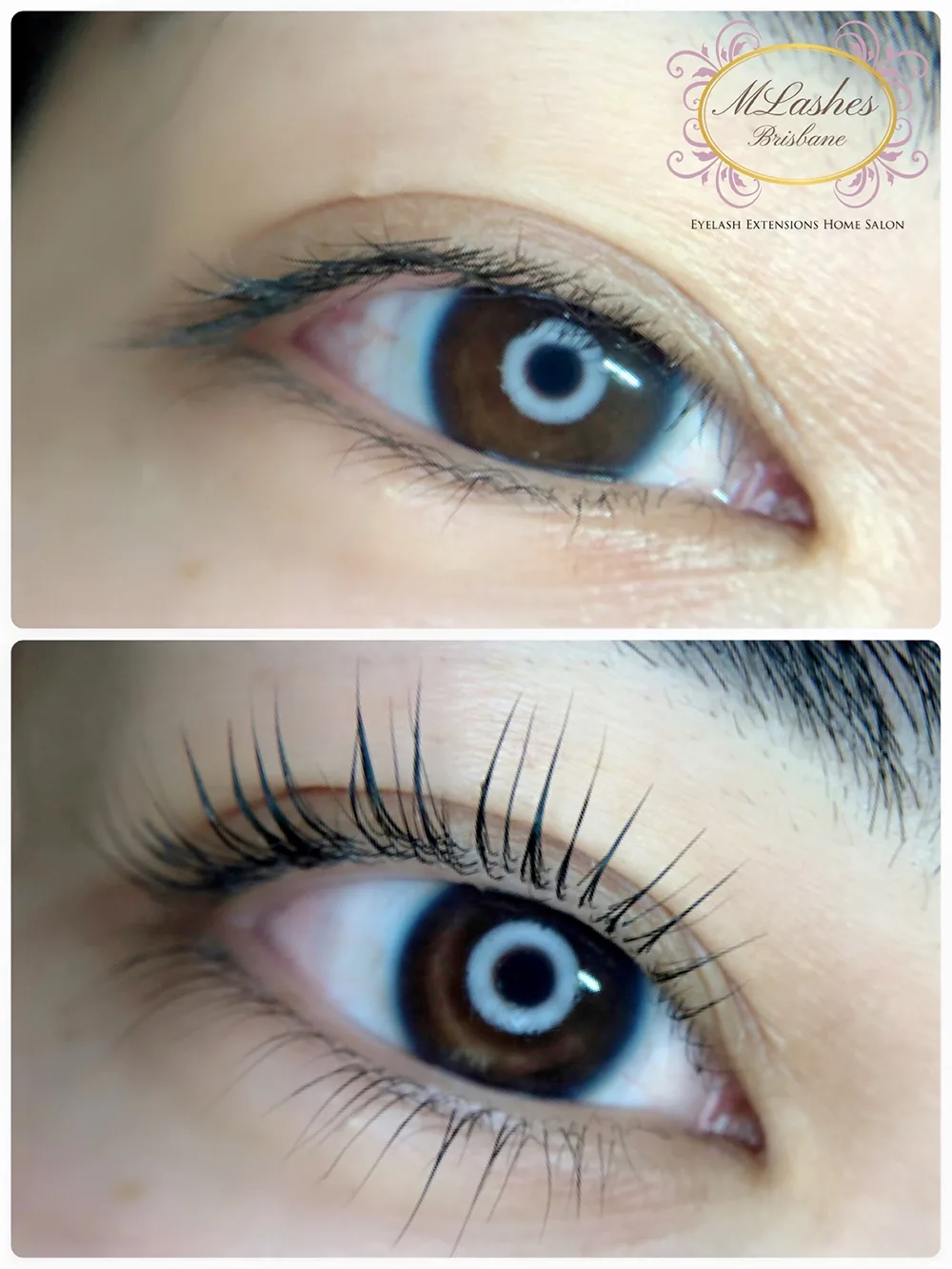 lash lift for blog
