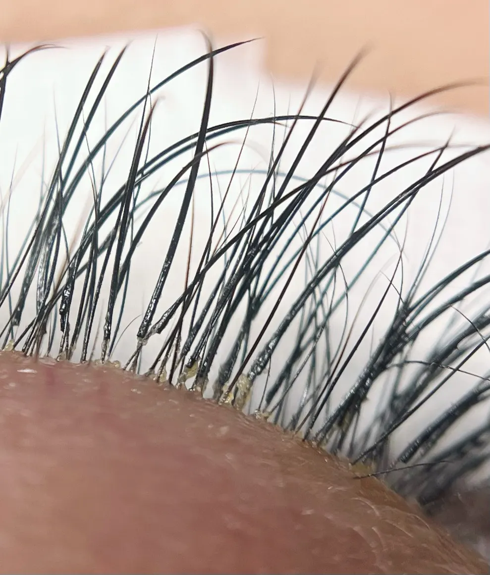 Eyelashes close-up, ready but before of cleaning treatment