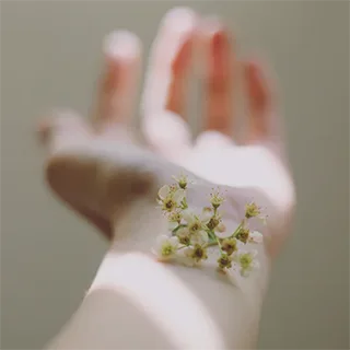 patch test