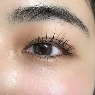 services under lash curl and tint set