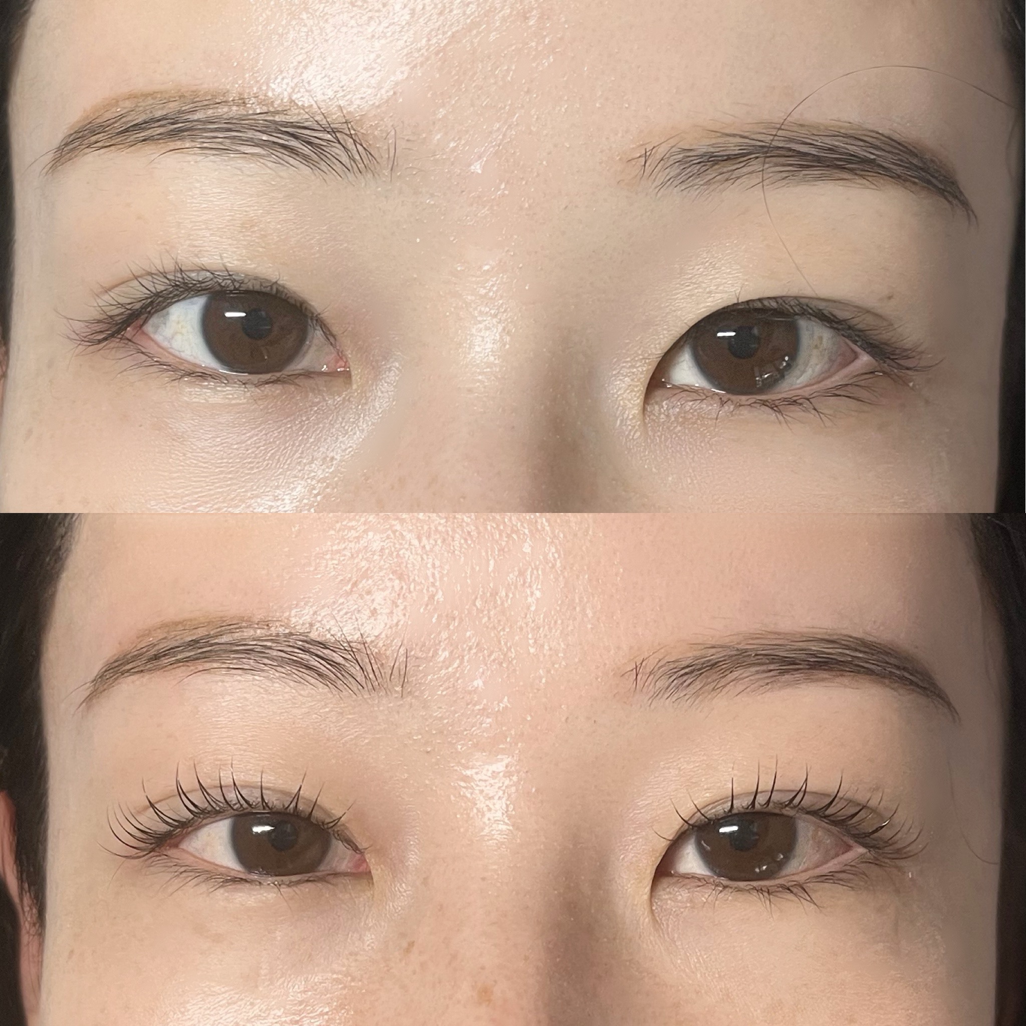 M Lashes Brisbane Lash Lift Before and After まつ毛パーマ